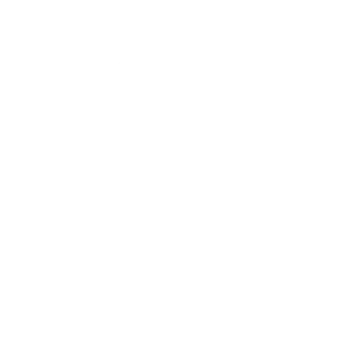 U-MINE USA Logo - Premium Wellness & Beauty Technology